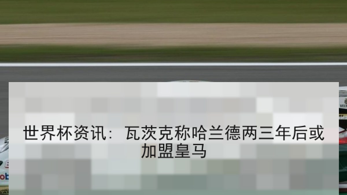 世界杯资讯: 瓦茨克称哈兰德两三年后或加盟皇马