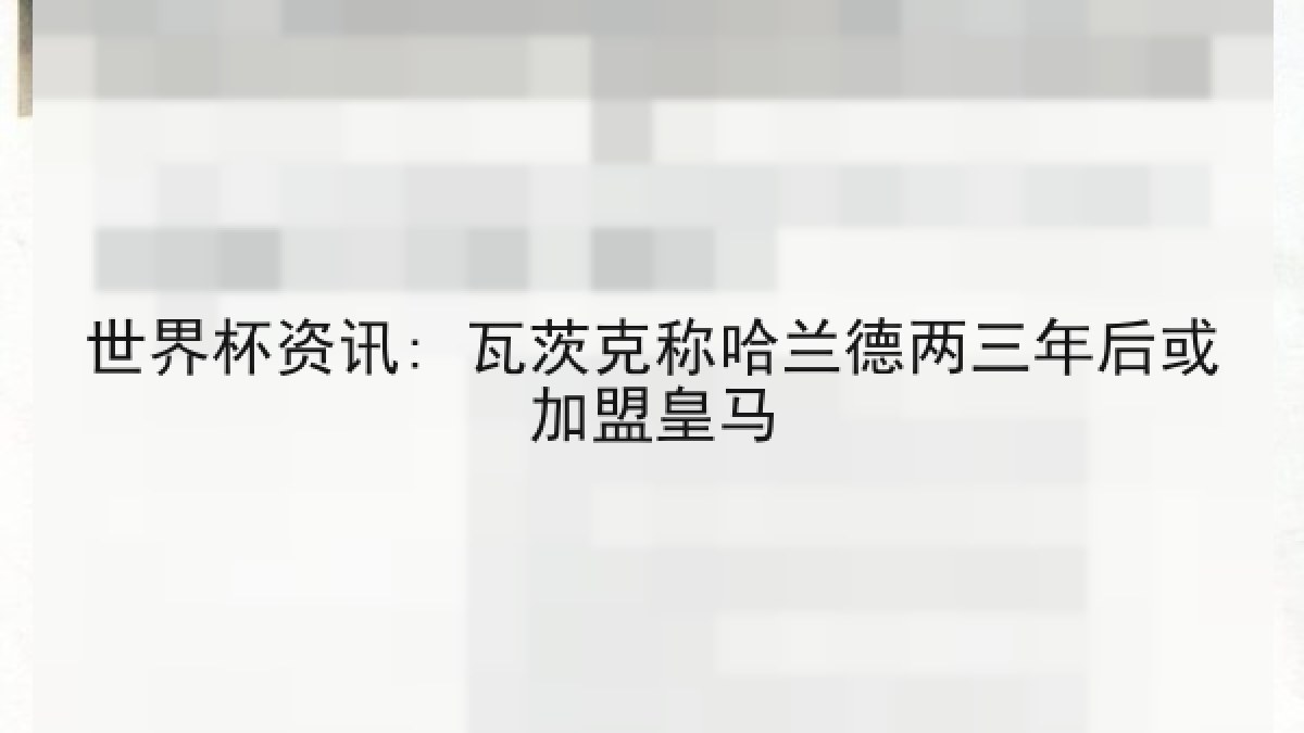 世界杯资讯: 瓦茨克称哈兰德两三年后或加盟皇马