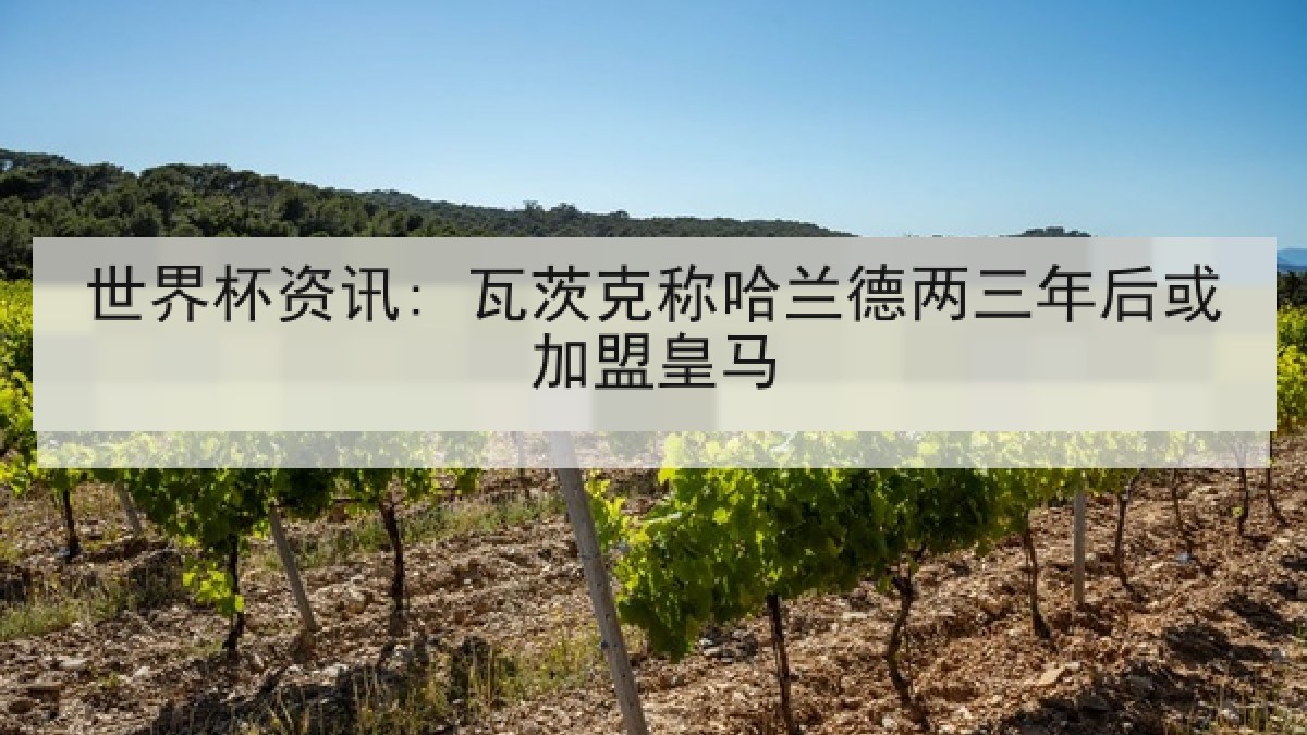 世界杯资讯: 瓦茨克称哈兰德两三年后或加盟皇马