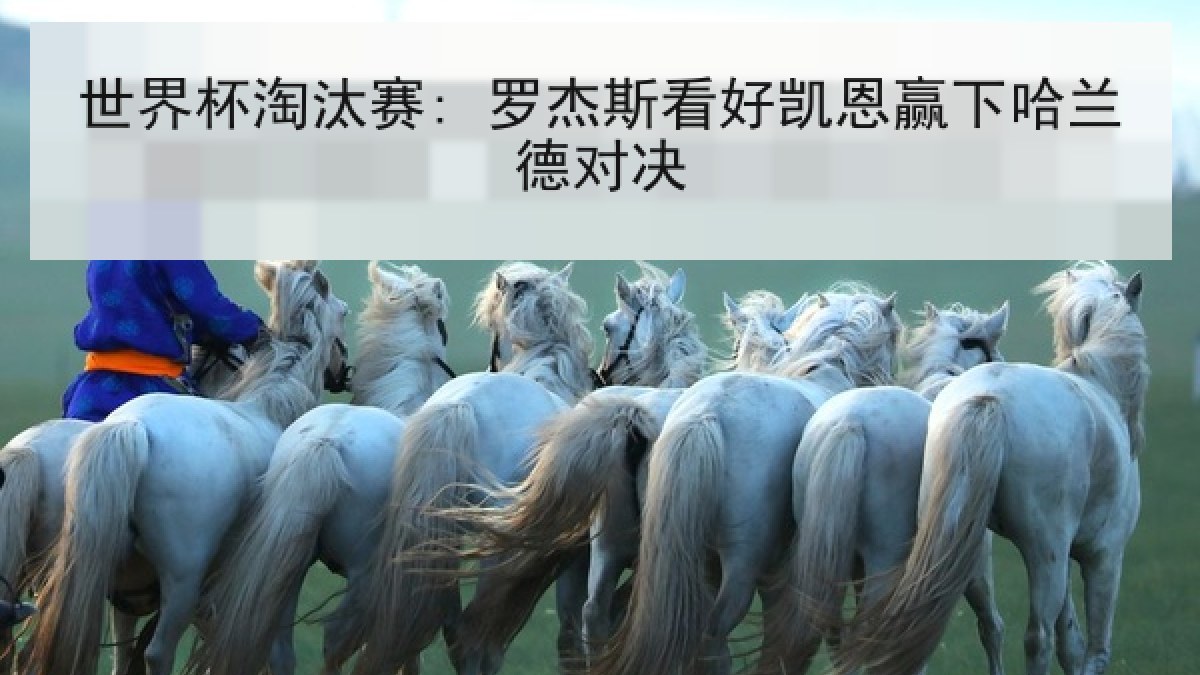 世界杯淘汰赛: 罗杰斯看好凯恩赢下哈兰德对决