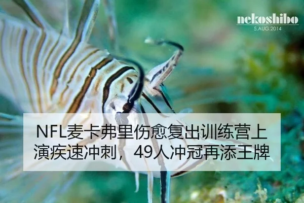 mai-ka-fu-li-shang-yu-fu-chu-xun-lian-ying-shang-yan-ji-su-chong-ci-ren-chong-guan-zai-tian-wang-pai-2-921.jpg
