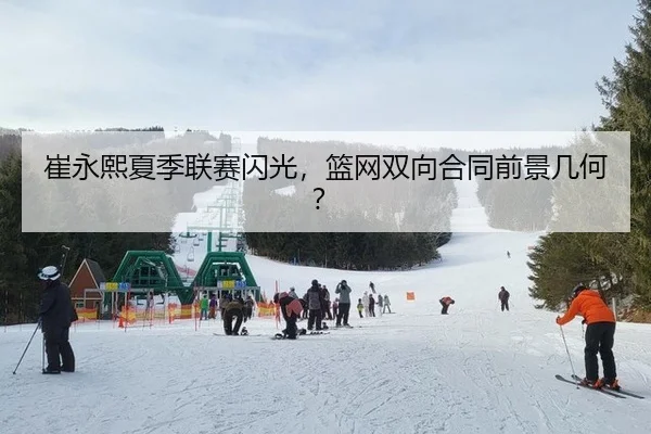 崔永熙夏季联赛闪光，篮网双向合同前景几何？