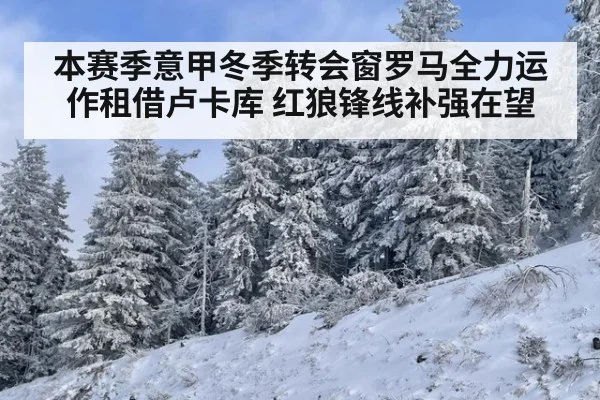 本赛季意甲冬季转会窗罗马全力运作租借卢卡库 红狼锋线补强在望