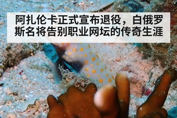 阿扎伦卡正式宣布退役，白俄罗斯名将告别职业网坛的传奇生涯